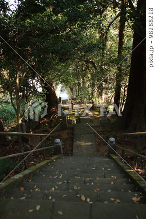 山間にあるお寺の参道 山間にあるお寺の参道 98288218