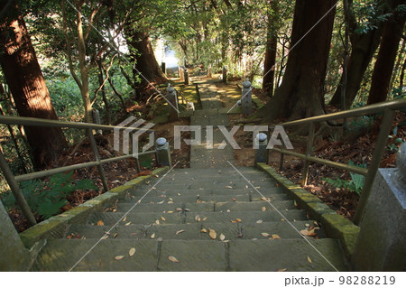 山間にあるお寺の参道 山間にあるお寺の参道 98288219