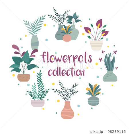 House plants in pots. Hand drawn vector illustration. 98289116