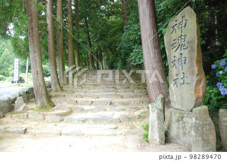 神魂(かもす)神社の石段(島根県松江市大庭町) 神魂(かもす)神社の石段(島根県松江市大庭町) 98289470