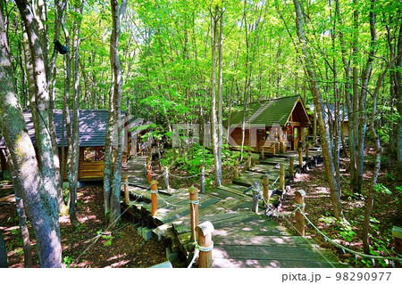 ニングルテラス　（北海道富良野市中御料） 98290977