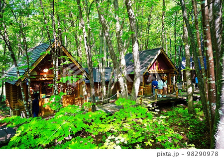 ニングルテラス (北海道富良野市中御料) ニングルテラス (北海道富良野市中御料) 98290978