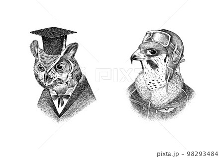 Scientist owl character in a hat. Peregrine falcon pilot with glasses. Hand drawn fashionable bird 98293484