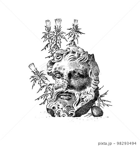 Line vintage head sculpture with flowers. Greek statue. Hand drawn bird. Engraved old monochrome Line vintage head sculpture with flowers. Greek statue. Hand drawn bird. Engraved old monochrome 98293494