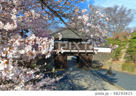 【長野県】晴天の小諸城址 三之門と満開の桜 【長野県】晴天の小諸城址 三之門と満開の桜 98293625
