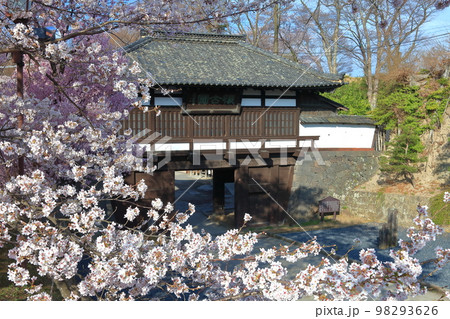 【長野県】晴天の小諸城址　三之門と満開の桜 98293626