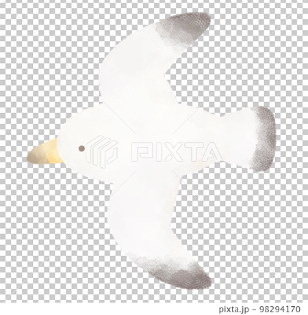 Flying seagull Flying seagull 98294170