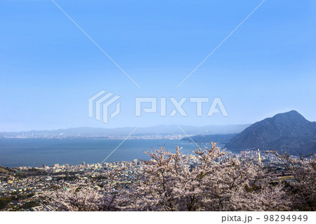 満開の桜と別府湾の眺望 98294949