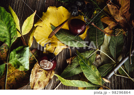 Autumn wooden background with maple leaves with copy space 98296864