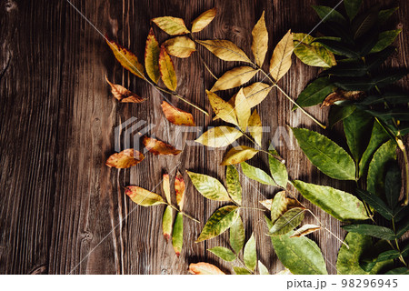 Autumn wooden background with maple leaves 98296945