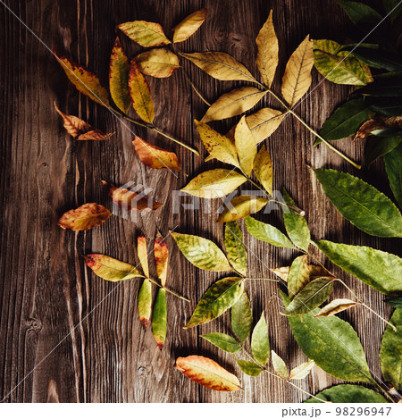 Autumn wooden background with maple leaves 98296947
