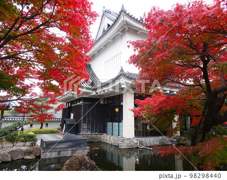 勝竜寺城の紅葉 【京都府長岡京市勝竜寺】 2022年11月 勝竜寺城の紅葉 【京都府長岡京市勝竜寺】 2022年11月 98298440