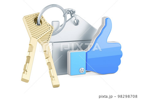 Home key with keychain with like icon, 3D rendering Home key with keychain with like icon, 3D rendering 98298708