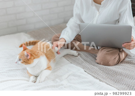 パソコンを使う女性と一緒にいる猫 98299923