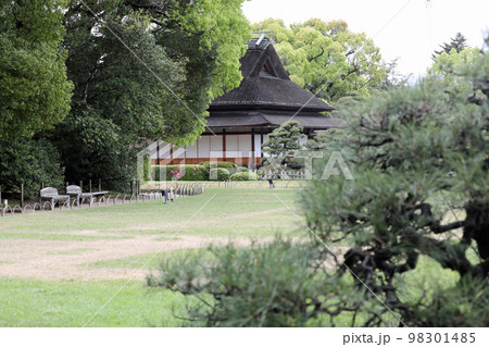 春の岡山後楽園の風景 98301485