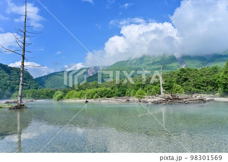 新緑に包まれた大正池上流部の情景＠上高地、長野 98301569