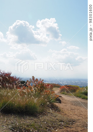 若草山から見た景色 98301600