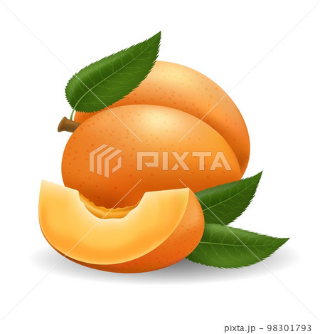 Realistic apricot fruits and slice Realistic apricot fruits and slice 98301793