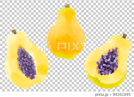Papaya illustration set expressed in watercolor 98301895