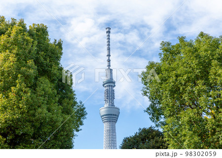 【日本】東京、東京スカイツリーと雲が漂う秋晴れの空と緑の木々 【日本】東京、東京スカイツリーと雲が漂う秋晴れの空と緑の木々 98302059