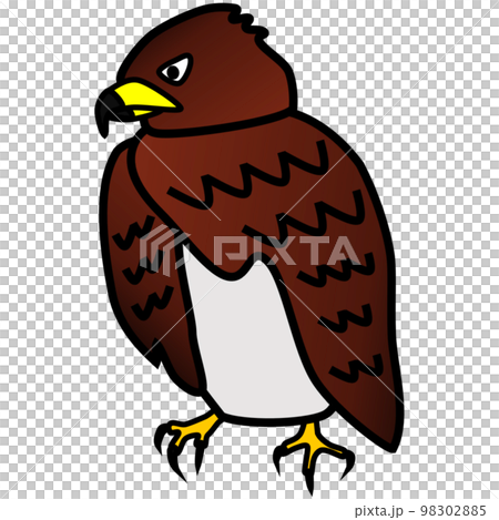 獵鷹的插圖，有著流行和可愛但敏銳的眼睛 98302885