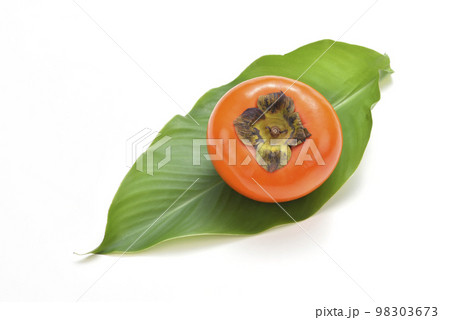 かき カキ 柿 98303673