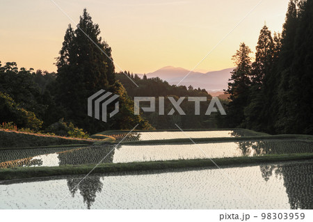 新潟県長岡市 田植え後の棚田と粟ケ岳の美しい朝焼け 新潟県長岡市 田植え後の棚田と粟ケ岳の美しい朝焼け 98303959