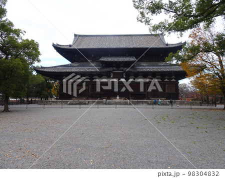 東寺の金堂(京都府京都市南区九条町) 2022年11月 98304832