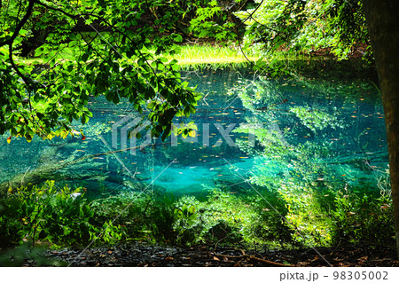 八月の丸池神社 丸池様（山形県飽海郡遊佐町） 98305002