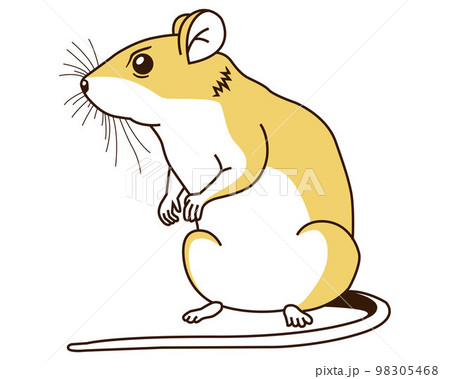 realistic field mouse. malicious rodent. 98305468