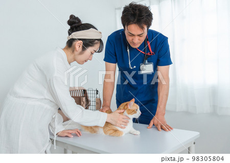 動物病院で獣医師に診察を受ける猫と飼い主のアジア人女性（ペット・相談・診察・診療） 98305804