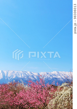三重県　青空のいなべ梅林公園からの風景 98306013