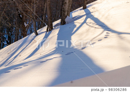 スノーハイクで一ノ倉沢 98306286