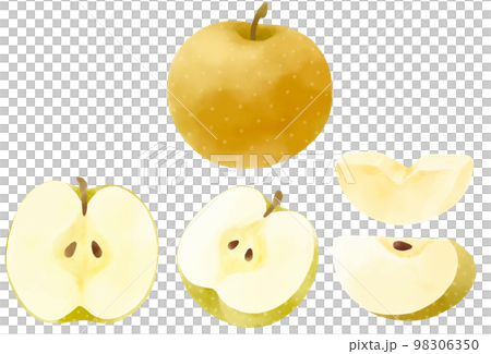 以水彩表達的梨插圖集 98306350
