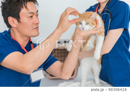 動物病院で獣医師に診察を受ける猫と飼い主のアジア人女性（ペット） 98306428