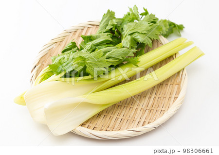 ザルに乗ったセロリ　白バック 98306661