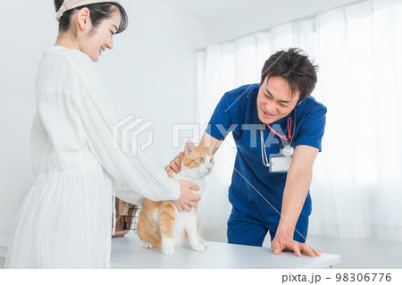 動物病院で獣医師に診察を受ける猫と飼い主のアジア人女性（ペット） 98306776