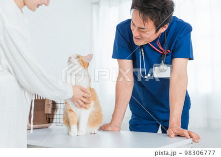 動物病院で獣医師に診察を受ける猫と飼い主のアジア人女性（ペット） 98306777