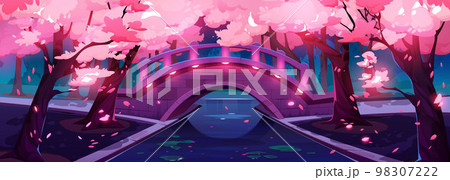 Sakura blossom and stone bridge at night Sakura blossom and stone bridge at night 98307222