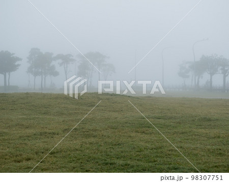 mist landscape in morning in winter mist landscape in morning in winter 98307751