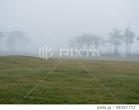 mist landscape in morning in winter 98307752