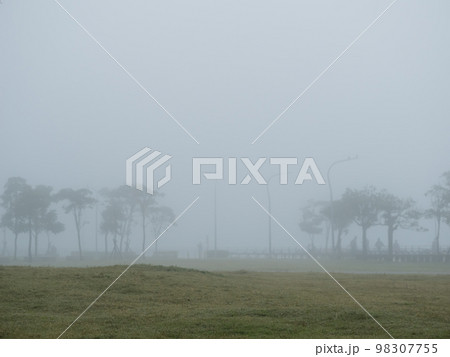 mist landscape in morning in winter 98307755