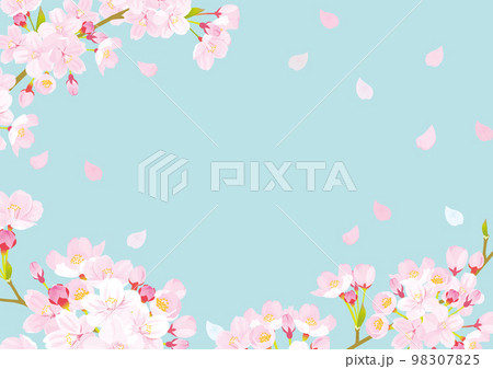 桜　背景イラスト 98307825
