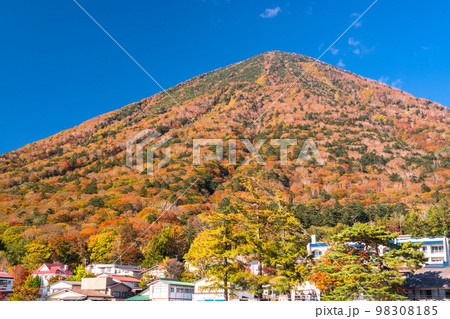 《栃木県》秋の奥日光・紅葉の中禅寺湖《中禅寺湖遊覧船より》 98308185