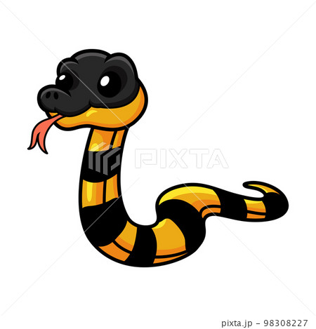 Cute banded krait bungarus candidus cartoon 98308227