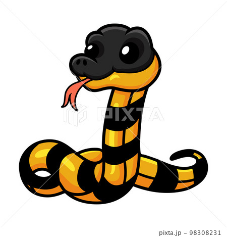 Cute banded krait bungarus candidus cartoon Cute banded krait bungarus candidus cartoon 98308231