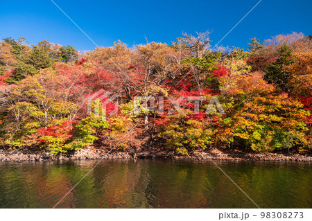 《栃木県》秋の奥日光・紅葉の中禅寺湖《中禅寺湖遊覧船より》 98308273
