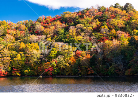《栃木県》秋の奥日光・紅葉の中禅寺湖《中禅寺湖遊覧船より》 《栃木県》秋の奥日光・紅葉の中禅寺湖《中禅寺湖遊覧船より》 98308327