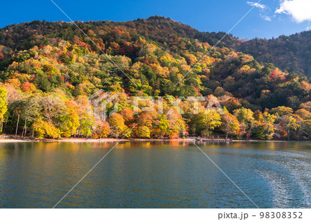 《栃木県》秋の奥日光・紅葉の中禅寺湖《中禅寺湖遊覧船より》 《栃木県》秋の奥日光・紅葉の中禅寺湖《中禅寺湖遊覧船より》 98308352