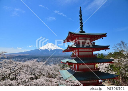 日本の風景美　五重塔と桜と富士山 98308501